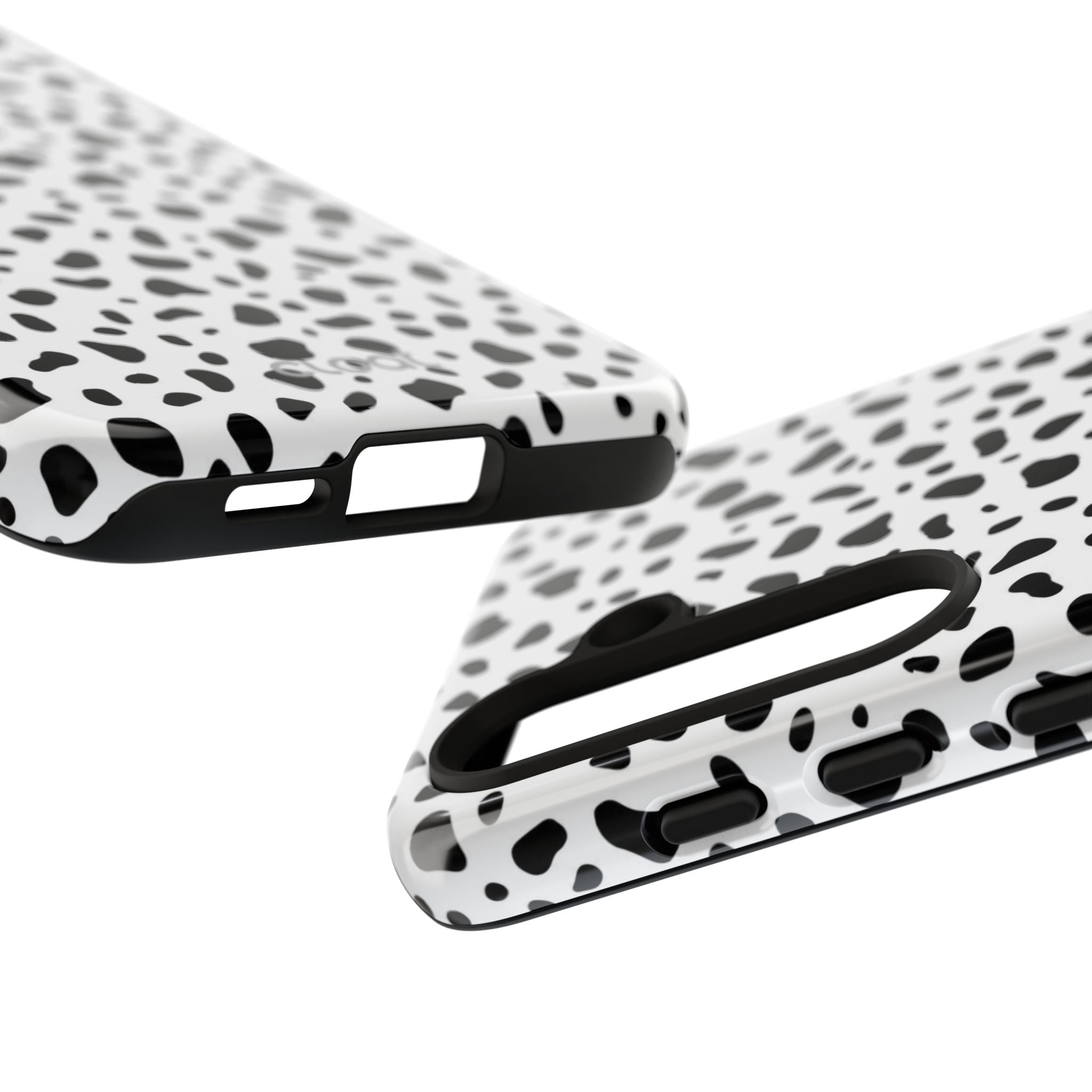 Dalmatian